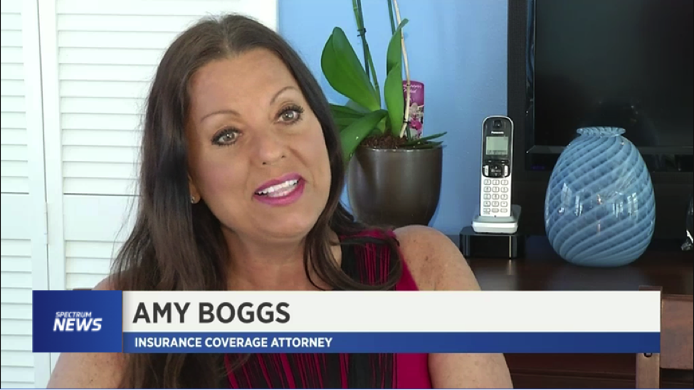 Amy Boggs - Insurance Coverage Attorney